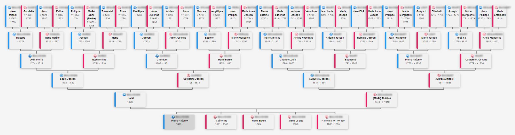 Genealogical tree over several generations