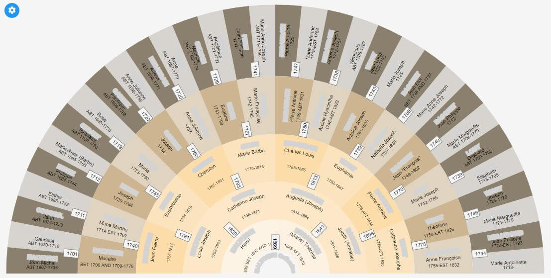 Genealogical wheel over several generations